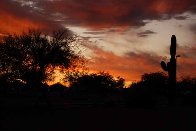sunset in the park